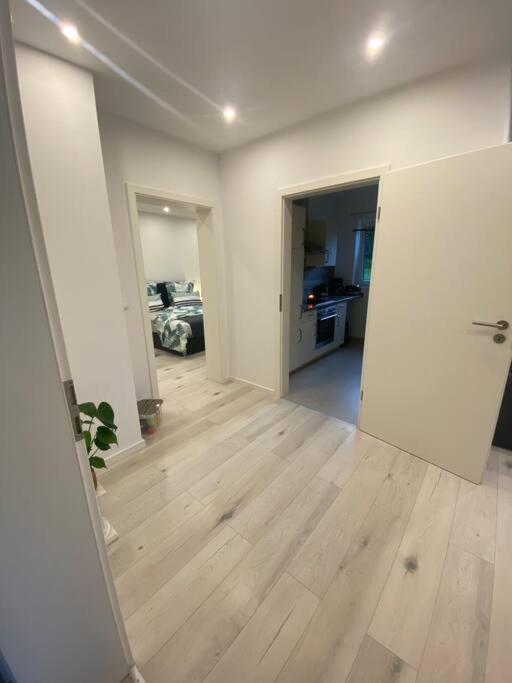 Apartment Vulkaneifel